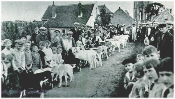 Klik voor de volgende foto