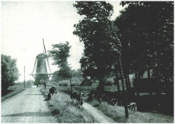 Klik voor de volgende foto