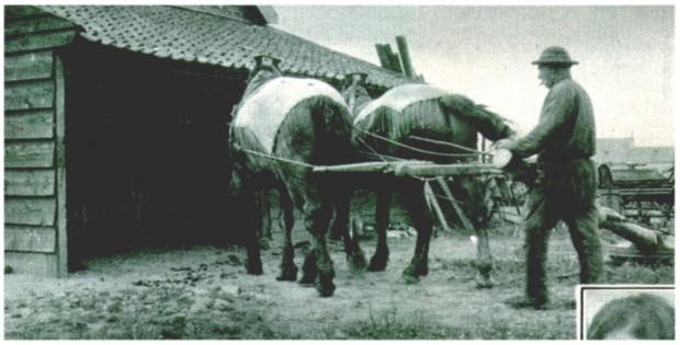 Klik voor de volgende foto