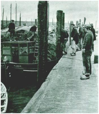 Klik voor de volgende foto