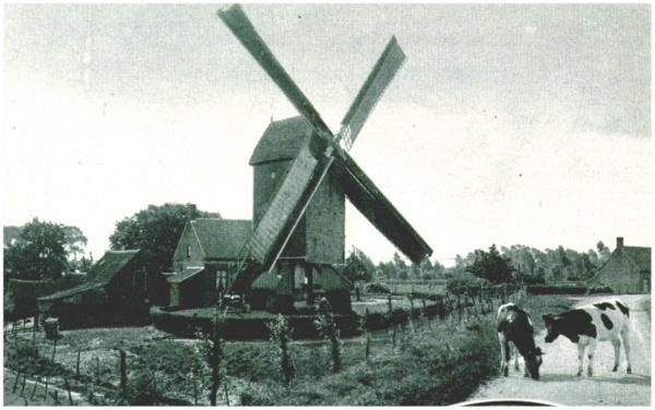 Klik voor de volgende foto