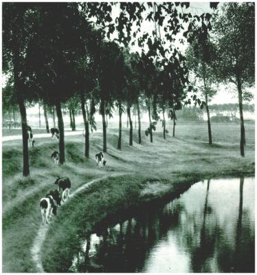 Klik voor de volgende foto