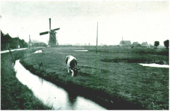Klik voor de volgende foto