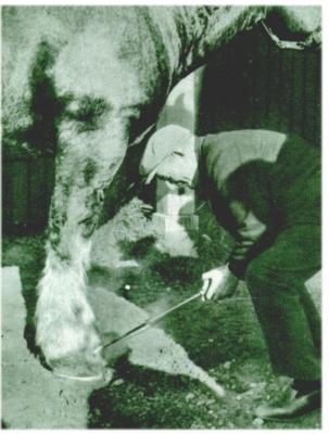 Klik voor de volgende foto