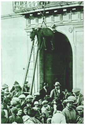 Klik voor de volgende foto