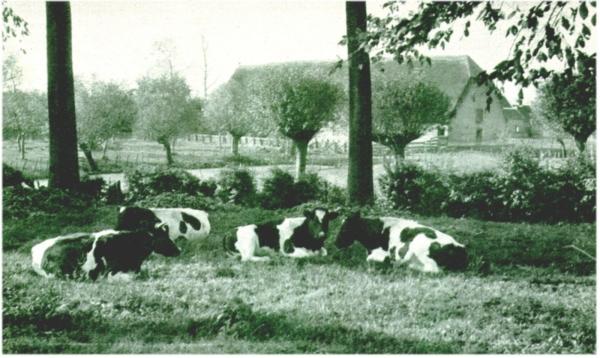 Klik voor de volgende foto