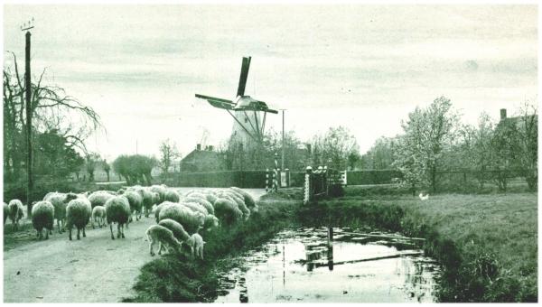Klik voor de volgende foto