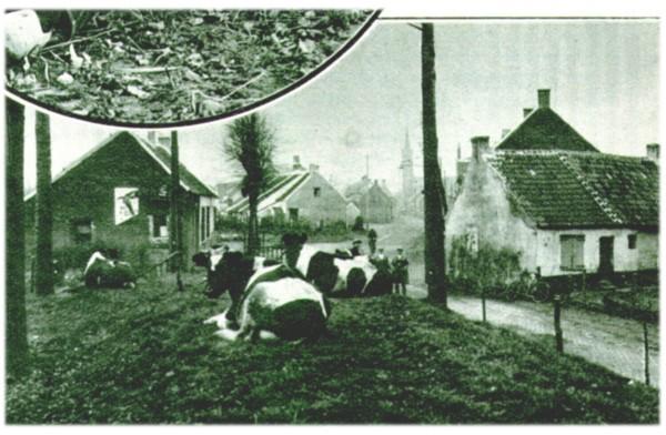 Klik voor de volgende foto