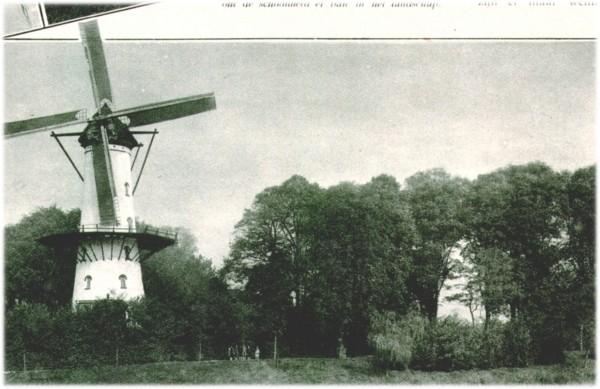 Klik voor de volgende foto