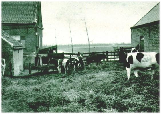 Klik voor de volgende foto