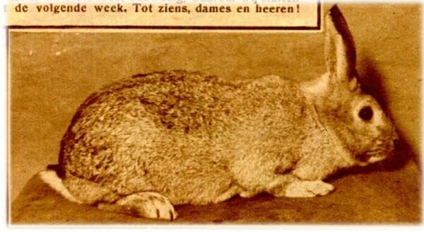 Klik voor de volgende foto