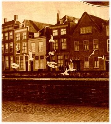 Klik voor de volgende foto