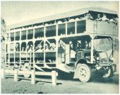 oz340204.jpg