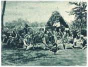 oz340285.jpg