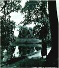 oz340301.jpg