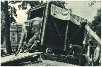 oz340331.jpg