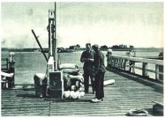 oz340334.jpg