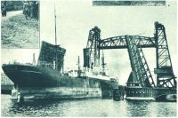 oz340512.jpg