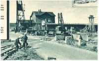 oz340576.jpg
