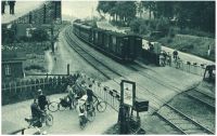 oz3406107.jpg