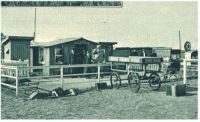 oz340773.jpg