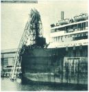 oz340775.jpg