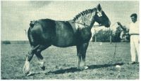 oz340789.jpg