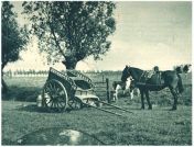 oz340791.jpg