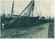 oz340882.jpg