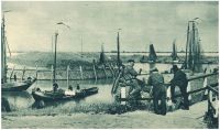 oz340884.jpg