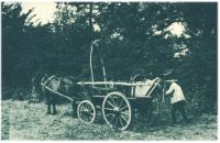 oz340886.jpg