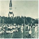 oz340977.jpg