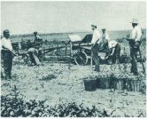 oz341003.jpg