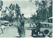 oz341045.jpg