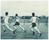 oz341073.jpg