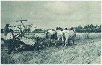 oz341128.jpg