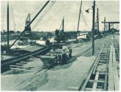 oz341146.jpg