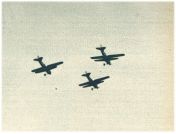 oz341161.jpg
