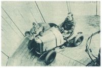 oz341203.jpg