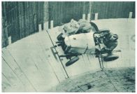 oz341204.jpg