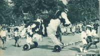 oz341207.jpg