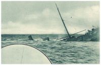oz341218.jpg