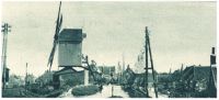 oz341230.jpg