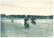 oz341262.jpg