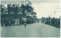 oz341266.jpg