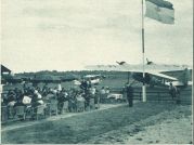 oz341275.jpg
