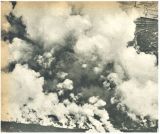 oz341435.jpg