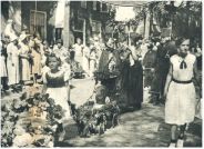 oz341448.jpg