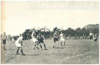 oz341474.jpg