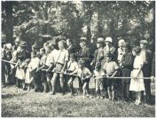 oz341491.jpg
